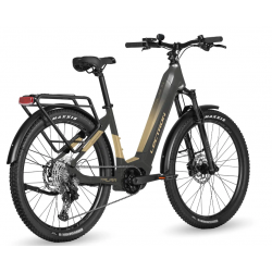Lectron Taura PX 19" Dark...